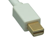 6ft Mini DisplayPort to DVI Cable 32AWG