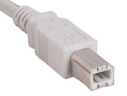 10ft USB 2.0 A Male to B Male Cable, Ash White